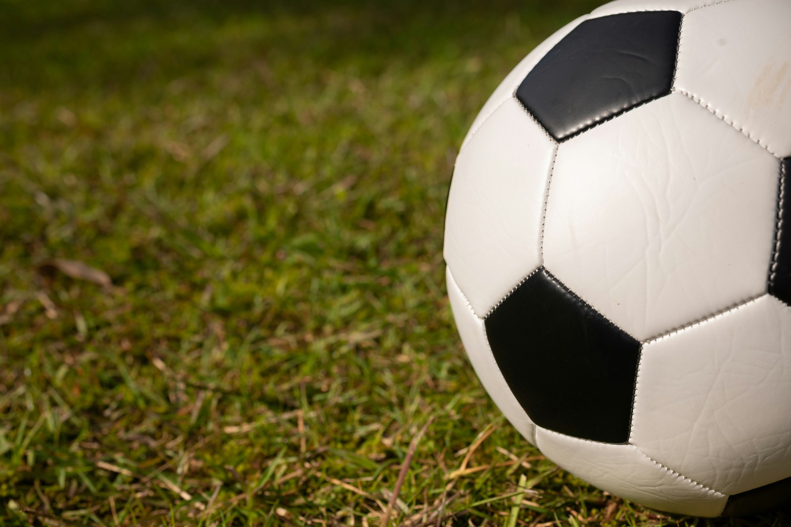 龙鼎彩票 · 球场